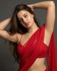 Agra escort