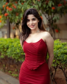 Agra Escort Services